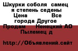 Шкурки соболя (самец) 1-я степень седены › Цена ­ 12 000 - Все города Другое » Продам   . Ненецкий АО,Пылемец д.